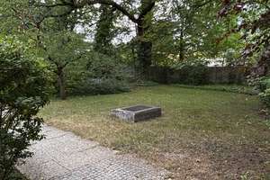 Provisionsfreie 1 Zimmer Wohnung in Berlin Zehlendorf – Laehrstraße 24a, 14165 Zehlendorf, Berlin – Vorschaubild 3