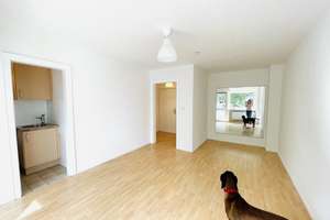 Gemütliche 1-Zimmer Wohnung mit Balkon und EBK - tolle Lage in Mainz – Feldbergplatz 1, 55118 Neustadt, Mainz – Vorschaubild 10