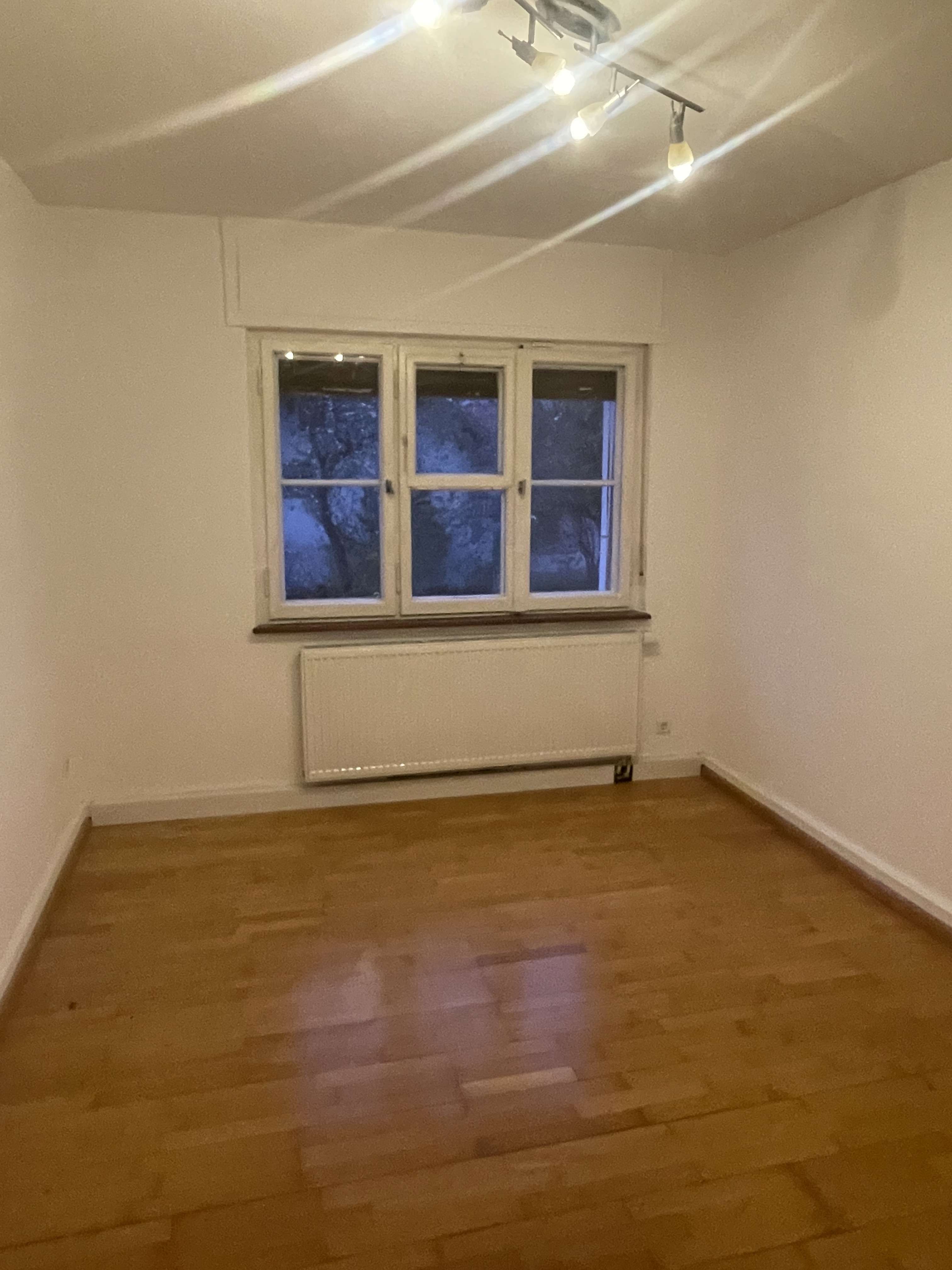 Immobilie in Rickenbach - EFH mit ELW 10 Zi  Villa von 1936 , 988 qm Grundstück , Quelle - Bild 32