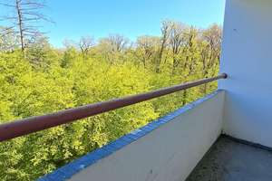 Helle 2-Zimmer-Wohnung mit Balkon in Wolfsburg – Hochring 39, 38440 Eichelkamp, Wolfsburg – Vorschaubild 3