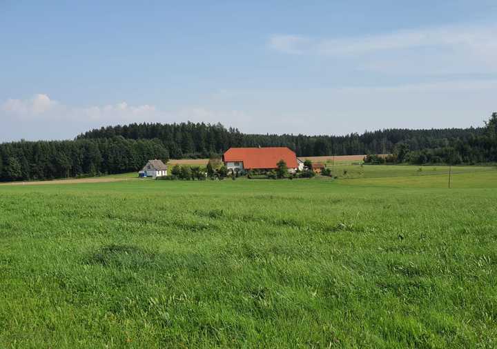 Kernsaniertes Landhaus - Alleinlage am Waldrand - Traumimmobilie