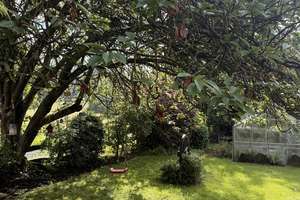 Gepflegtes Einfamilienhaus mit EBK, Balkon, schön angelegtem Garten und Aussicht – Die vollständige Adresse der Immobilie erhältst du vom Anbieter., 51545 Waldbröl – Vorschaubild 7