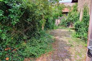HEMING-IMMOBILIEN -  liebevoller Dreiseitenhof mit Ausbaumöglichkeiten – Alzey-Worms (Kreis) – Vorschaubild 9
