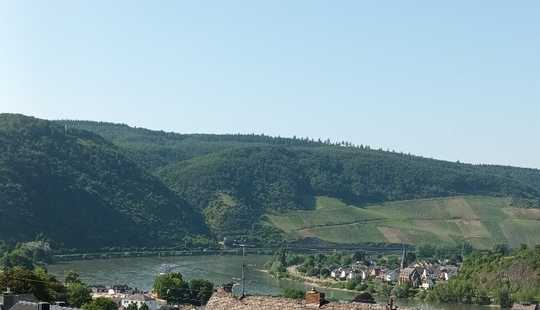 Bild von Großzügiges Einfamilienhaus in traumhafter Lage in Boppard