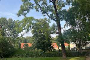 Property thumbnail 16