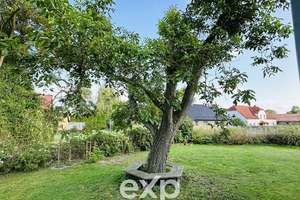 Historischer Landsitz für Liebhaber des Besonderen als Zweitwohnsitz oder Hauptwohnsitz – Die vollständige Adresse der Immobilie erhältst du vom Anbieter., 17322 Glasow – Vorschaubild 10