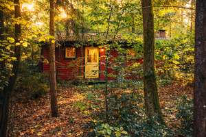 Property thumbnail 9