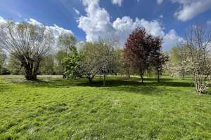 Property thumbnail 14