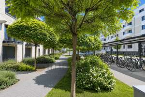 Potsdam – Jute Lofts | Wohnung mit Loftcharakter, Loggia und großzügiger Terrasse