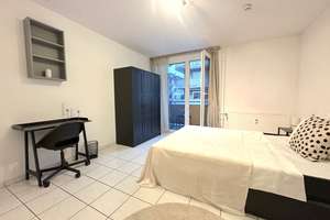 🏡 Helles 1-Zimmer-Apartment in Mannheim – Rheindammstraße 29 – Rheindammstraße 29, 68163 Lindenhof, Mannheim – Vorschaubild 3