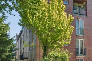 Terrassenwohnung mit wohnlichem Kellerbereich – Die vollständige Adresse der Immobilie erhältst du vom Anbieter., 22149 Rahlstedt, Hamburg – Vorschaubild 2