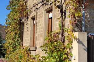 Renoviertes Bauernhaus mit drei Zimmern und EBK in Mußbach, Neustadt an der Weinstraße – Neustadt an der Weinstraße – Vorschaubild 2