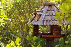 Property thumbnail 41