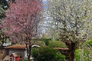Provisionsfreies  Einfamilienhaus in Regensburg (Burgweinting) – Die vollständige Adresse der Immobilie erhältst du vom Anbieter., 93055 Burgweinting-Harting, Regensburg – Vorschaubild 23