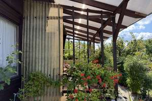 Erholungsgarten P45 mit Bungalow Nähe Glindowsee (Werder-Havel) – Weidenweg 7-13, 14542 Werder (Havel) – Vorschaubild 22