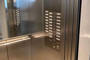 Willkommen im Grünen! – Dürrweg 5, 42117 Elberfeld, Wuppertal – Vorschaubild 8