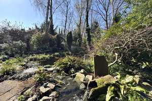 Gartenidylle trifft Wohnkomfort – Gepflegtes Reihenmittelhaus mit parkähnlichem Traumgarten & Teich – Recklinghausen (Kreis) – Vorschaubild 42