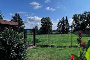 Klein, aber oho! Gepflegter Bungalow mit Carport + neuer EBK in idyllischer Dorfrandlage – Gifhorn (Kreis) – Vorschaubild 8