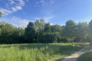 *NEU* IHRE CHANCE! BUNGALOW IN RUHIGER TOP-LAGE VOR DEN TOREN VON WIESBADEN JETZT TERMIN VEREINBAREN – Die vollständige Adresse der Immobilie erhältst du vom Anbieter., 65205 Delkenheim, Wiesbaden – Vorschaubild 22