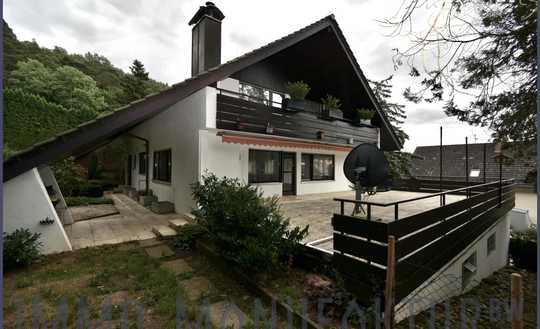 Mit Blick ins GRÜNE! Gepflegtes freistehendes Einfamilienhaus mit Einliegerwohnung! Idylle pur!