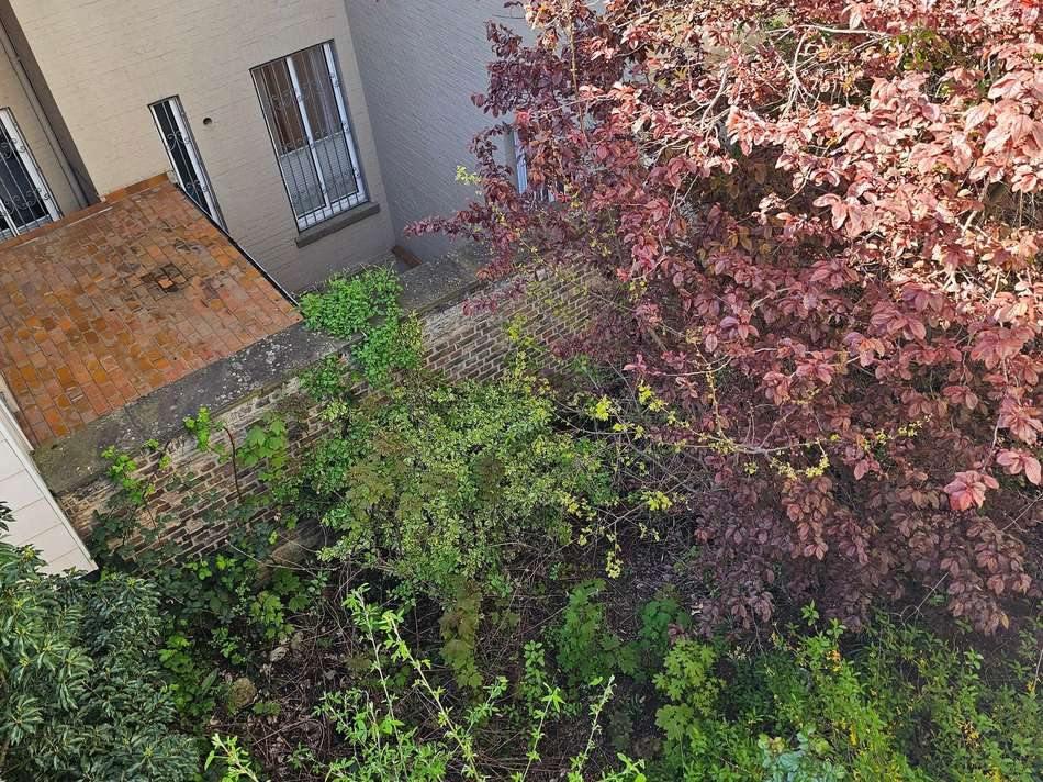 EIGENER GARTEN.jpg