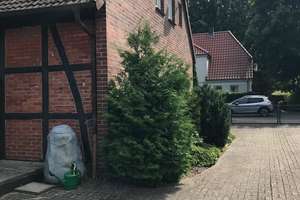 Ji me re pêşniyarek bihayê kirînê bikin – Hornbosteler Str. 23, 29323 Wietze – Vorschaubild 5