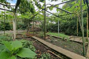 Property thumbnail 11