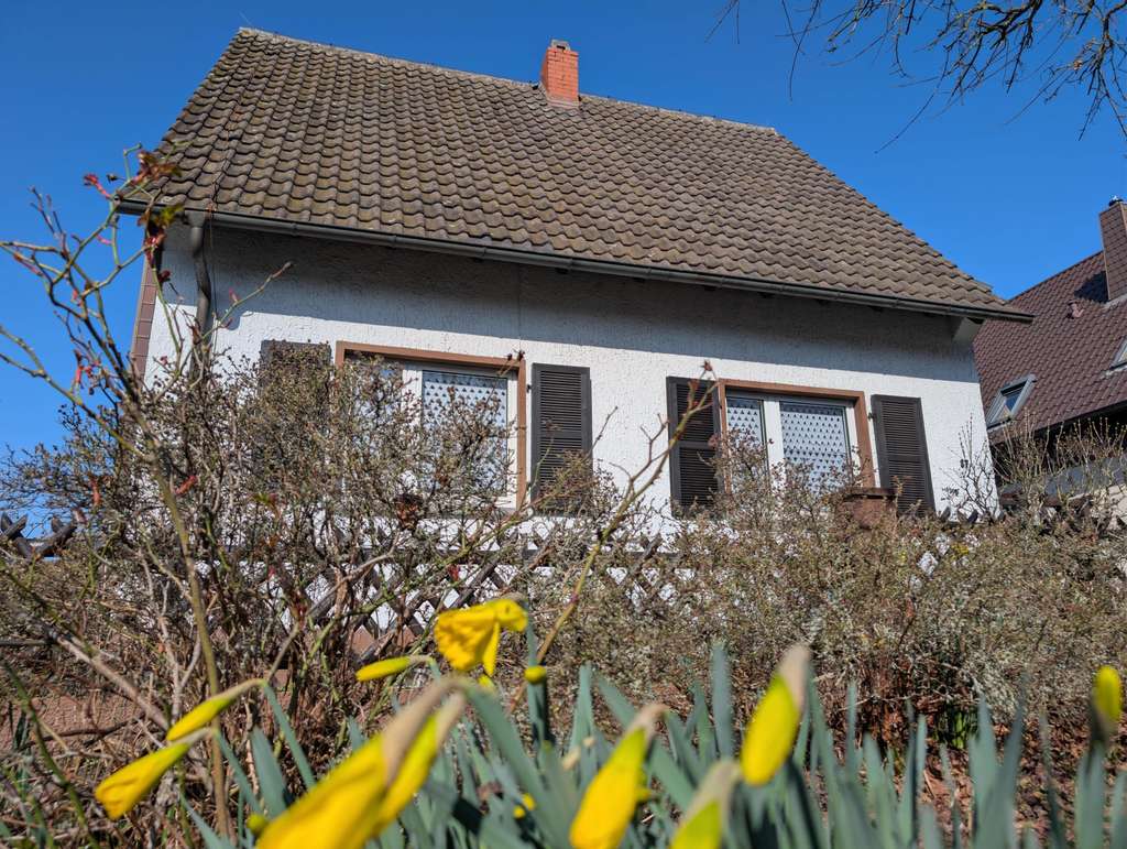 Immobilie in Enkenbach-Alsenborn - Ihr Projekt mit Zukunft: Haus auf 876 m² in Enkenbach-Alsenborn!  - Bild 2