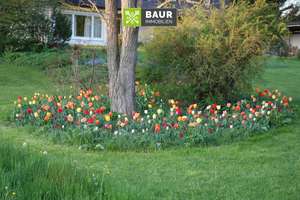 Bad Waldsee – Gartenstadt! Seltene Gelegenheit! Großes Wohnhaus auf großem Grundstück. – Die vollständige Adresse der Immobilie erhältst du vom Anbieter., 88339 Bad Waldsee – Vorschaubild 41