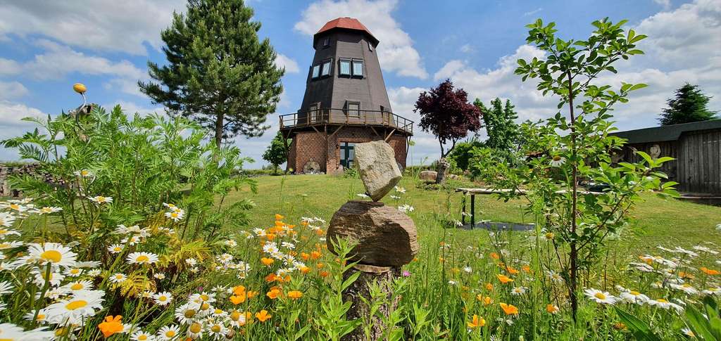 Immobilie in Spantekow - Galerieholländer-Mühle in Vorpommern - Liebhaberobjekt - Bild 0