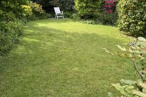 Bockum: Reihenendhaus mit wunderschönem Garten in kleiner Sackgasse! – Die vollständige Adresse der Immobilie erhältst du vom Anbieter., 47800 Bockum, Krefeld – Vorschaubild 3