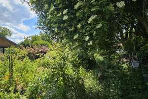 Ein charmantes Stadthaus im Herzen von Coswig (Anhalt) – Die vollständige Adresse der Immobilie erhältst du vom Anbieter., 6869 Coswig (Anhalt) – Vorschaubild 11