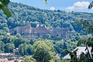 Stilvolles 3-Familienhaus 
in begehrter Lage von Heidelberg – 69120 Neuenheim, Heidelberg – Vorschaubild 27