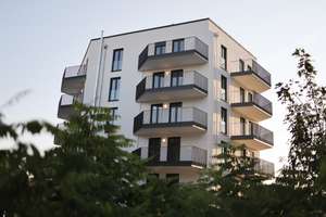 Property thumbnail 9