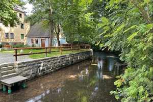 Idyllisches Zuhause in Rehau zu attraktivem Preis – Hof (Kreis) – Vorschaubild 4