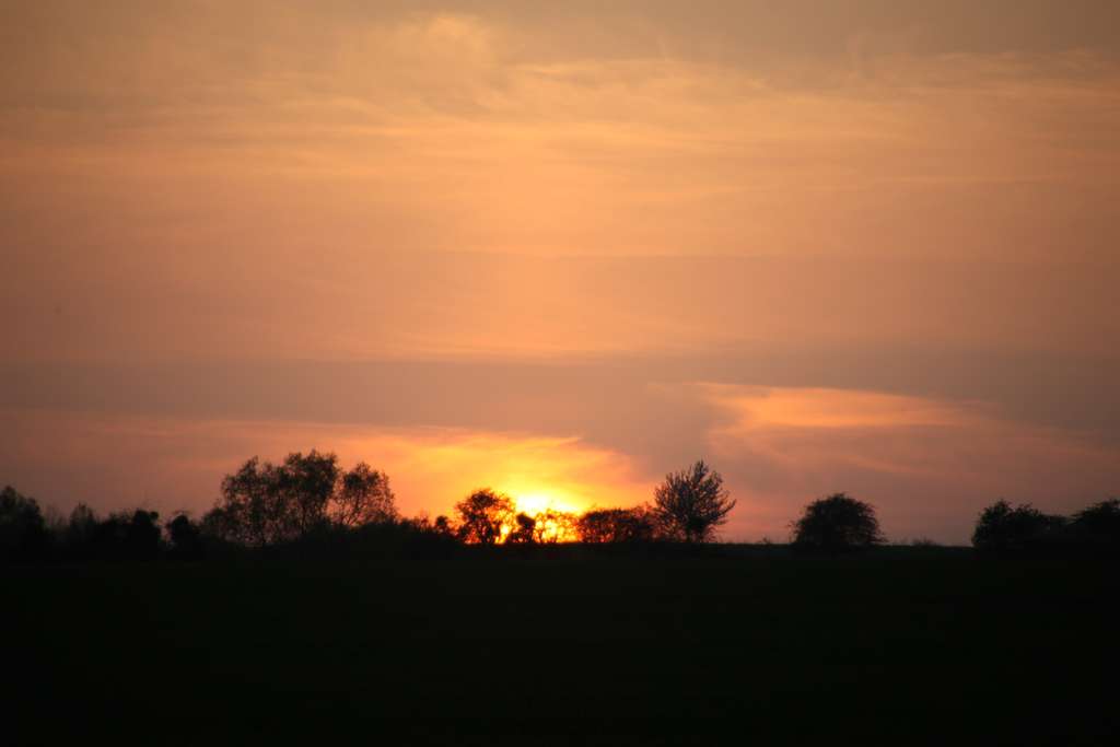 Seltene Gelegenheit: Grundstück in Dachau für eine Doppelhaushälfte zu verkaufen