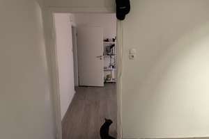 Helle 2-Zimmer Wohnung im 4. OG in Aachen – Die vollständige Adresse der Immobilie erhältst du vom Anbieter., 52066 Marschiertor, Aachen – Vorschaubild 7