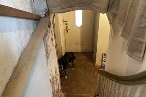 *Charmantes Einfamilienhaus mit großem Garten –Modernisierungsbedürftig* – Die vollständige Adresse der Immobilie erhältst du vom Anbieter., 76848 Schwanheim – Vorschaubild 5