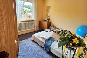Einfamilienhaus mit Wiese + Scheune und kl.Stall – Odenwaldkreis – Vorschaubild 15