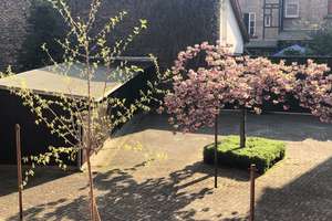 Die ideale Single-2-ZKB-Erdgeschoß-Wohnung in Mannheim-Waldhof – Roggenstraße 15, 68305 Waldhof, Mannheim – Vorschaubild 5