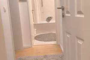 Property thumbnail 37