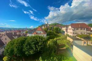 Riesiger Garten, hohe Decken und 7 WCs – ein Haus mit Charakter