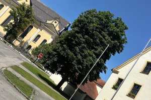 Familienfreundliches EFH mit großzügigem Garten in Grafrath – Fürstenfeldbruck (Kreis) – Vorschaubild 81