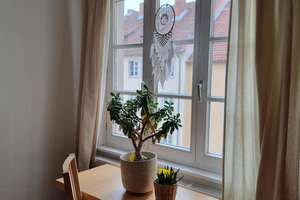Helle 2-Zimmer Wohnung im 3. OG in Braunschweig Innenstadt – Die vollständige Adresse der Immobilie erhältst du vom Anbieter., 38100 Innenstadt, Braunschweig – Vorschaubild 1