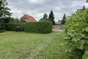 Massivhaus Oslo 140 auf attraktivem Grundstück Bohnsdorf – Berlin – Vorschaubild 7