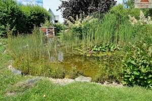 Einfamilienhaus mit Pool und Teich in Crinitzberg / Bärenwalde (zwischen Eibenstock und Schneeberg) – Zwickau (Kreis) – Vorschaubild 33