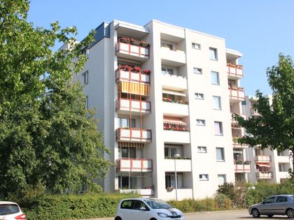 2 - 2,5 Zimmer Wohnung Zur Miete In Cottbus - ImmobilienScout24