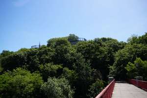 Property thumbnail 24