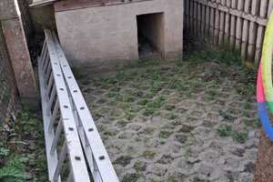Landhaus für Gartenfreunde und Tierhalter! – Oder-Spree (Kreis) – Vorschaubild 34