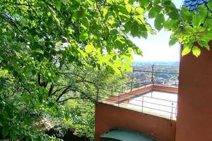 Einmalige Villa in der Heidelberger Weststadt – Die vollständige Adresse der Immobilie erhältst du vom Anbieter., 69115 Weststadt, Heidelberg – Vorschaubild 25